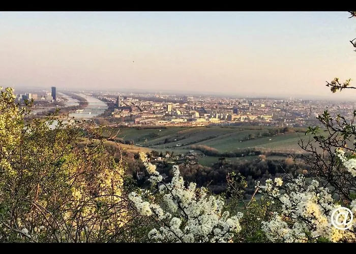 Grinzinger Gartenidylle בית הארחה וינה